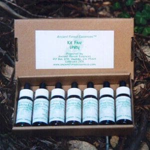 Ancient Forest Essences Kit #5 - Unity