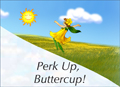Perk Up Buttercup