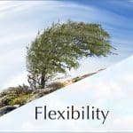 Flexibility