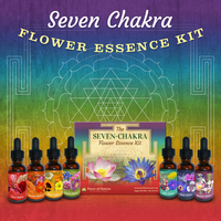 Chakra Set