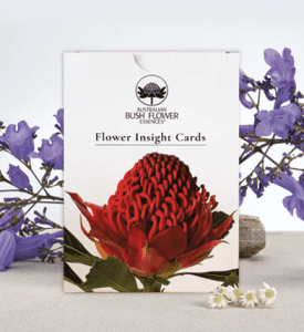 Australian Bush Flower Essences Flower Insight Cards