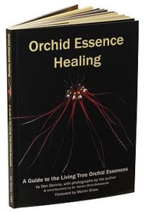 Orchid Essence Healing