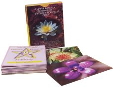 Living Essences of Australia Flower Affinity Cards