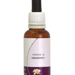 Essence-of-Creativity