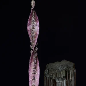 Spiral of Light Single Essence