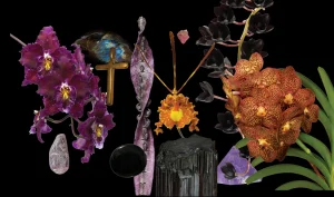 Light Relief Combination Essence