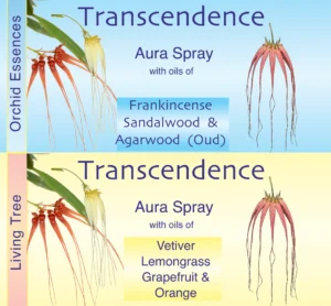 Transcendence Aura Spray - Blue